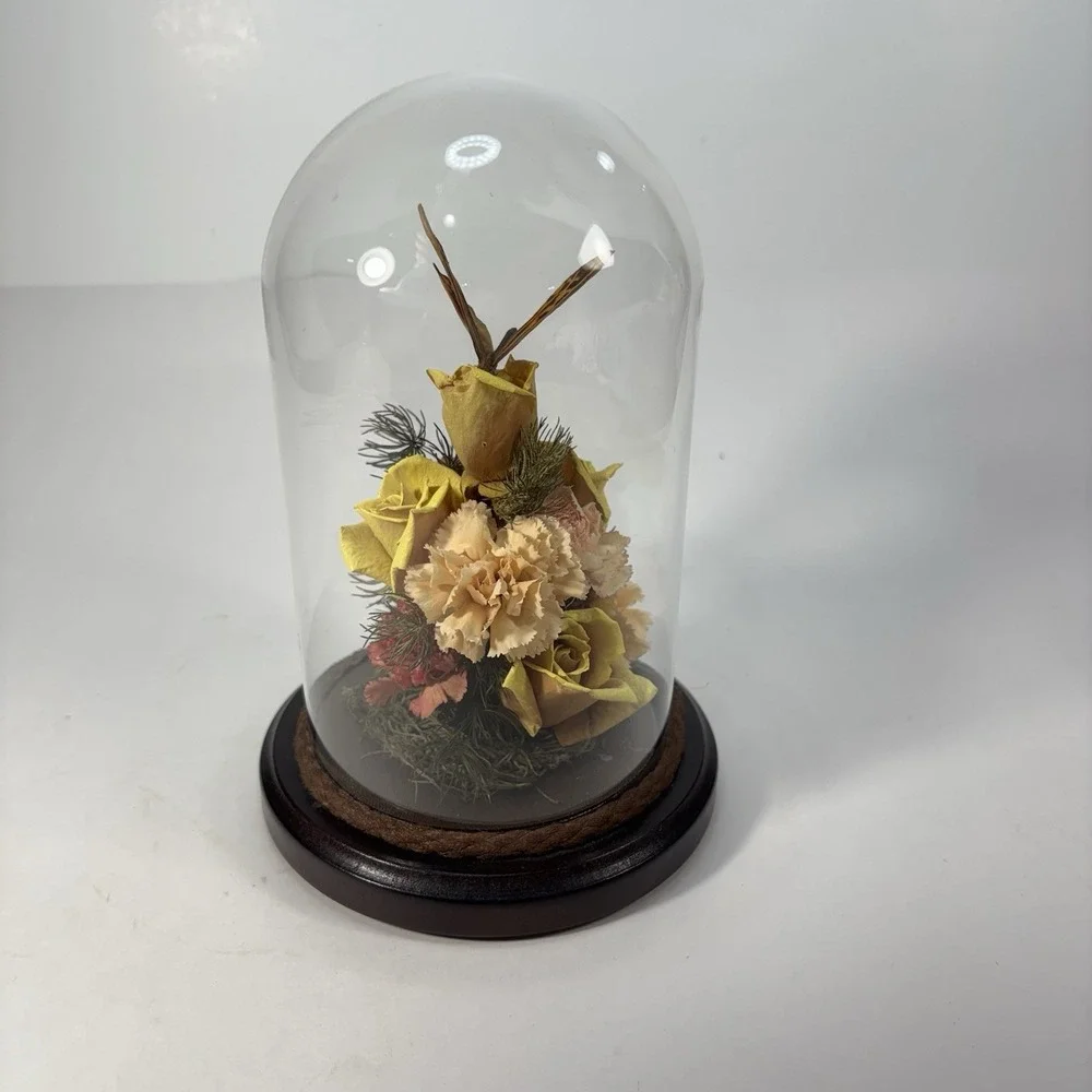 Vtg Dried Flower & Butterfly Bee Domed‎ Diorama Cloche MCM Decor Wood Base 7.5